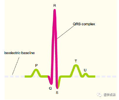 学习心电图必须掌握的基础知识，收藏起来慢慢看！