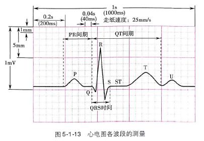 学习心电图必须掌握的基础知识，收藏起来慢慢看！