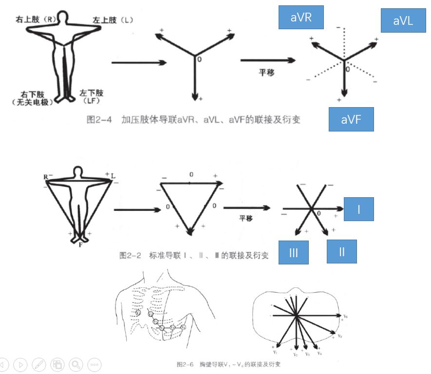 学习心电图必须掌握的基础知识，收藏起来慢慢看！