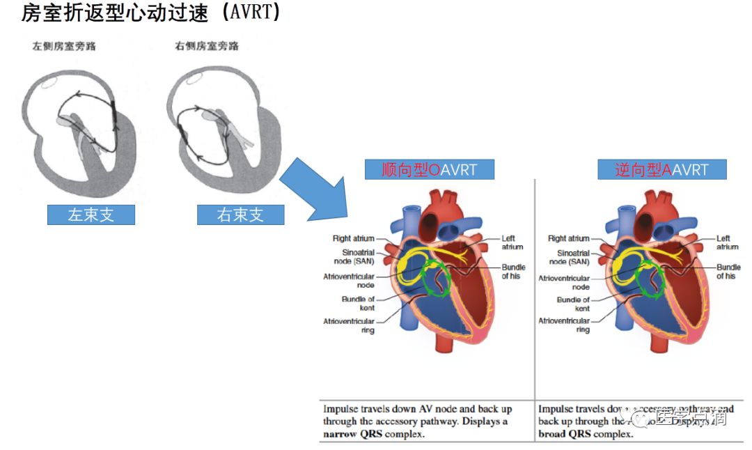 学习心电图必须掌握的基础知识，收藏起来慢慢看！