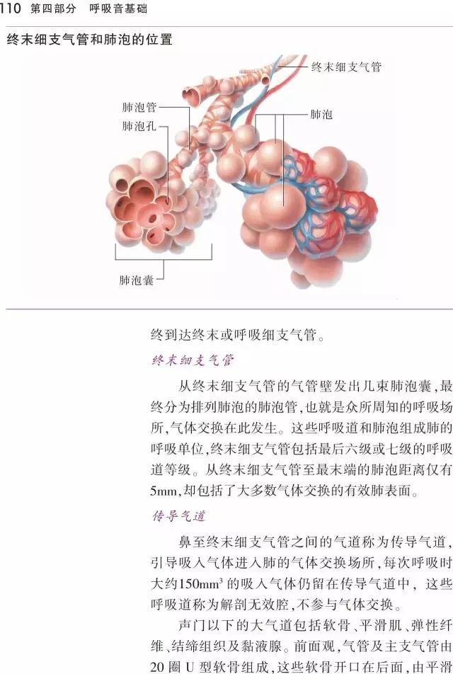 这本《听诊技巧-呼吸音及心音》正版图书免费送啦！
