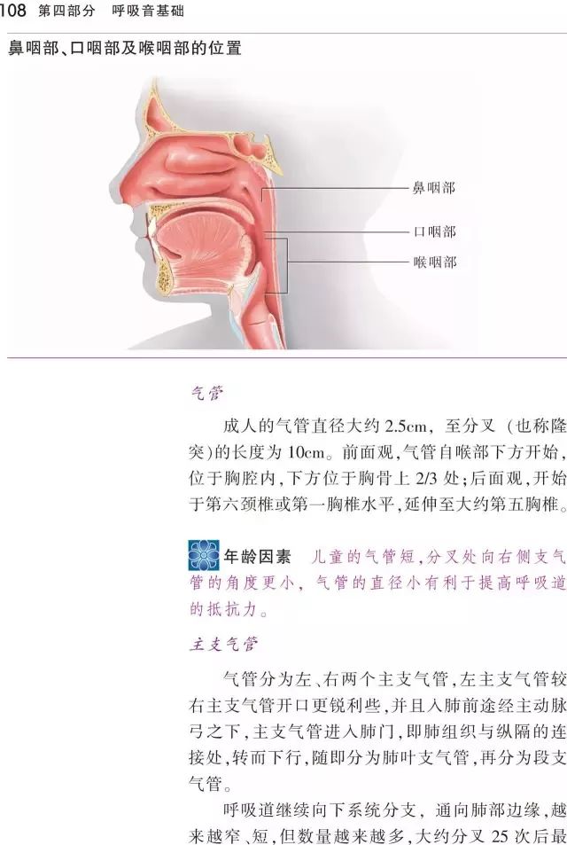 这本《听诊技巧-呼吸音及心音》正版图书免费送啦！