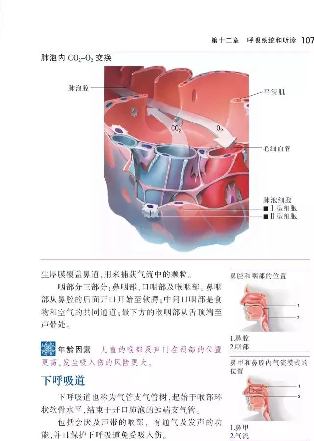 这本《听诊技巧-呼吸音及心音》正版图书免费送啦！