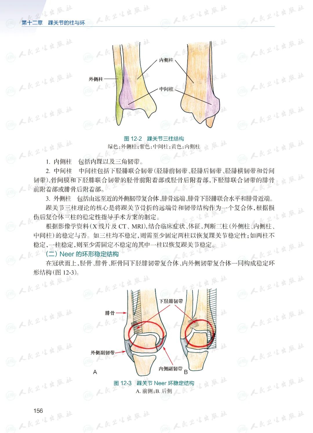 新书首发|《常见创伤骨折诊治新策略--骨的柱与环理论》，必读好书！