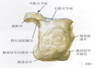 138张高清图全面记录精讲，快速拿下跟骨骨折手术！