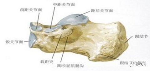 138张高清图全面记录精讲，快速拿下跟骨骨折手术！