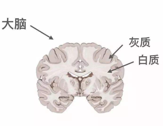 七夕医务人员脱单指南，安全有效！