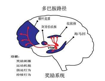 七夕医务人员脱单指南，安全有效！