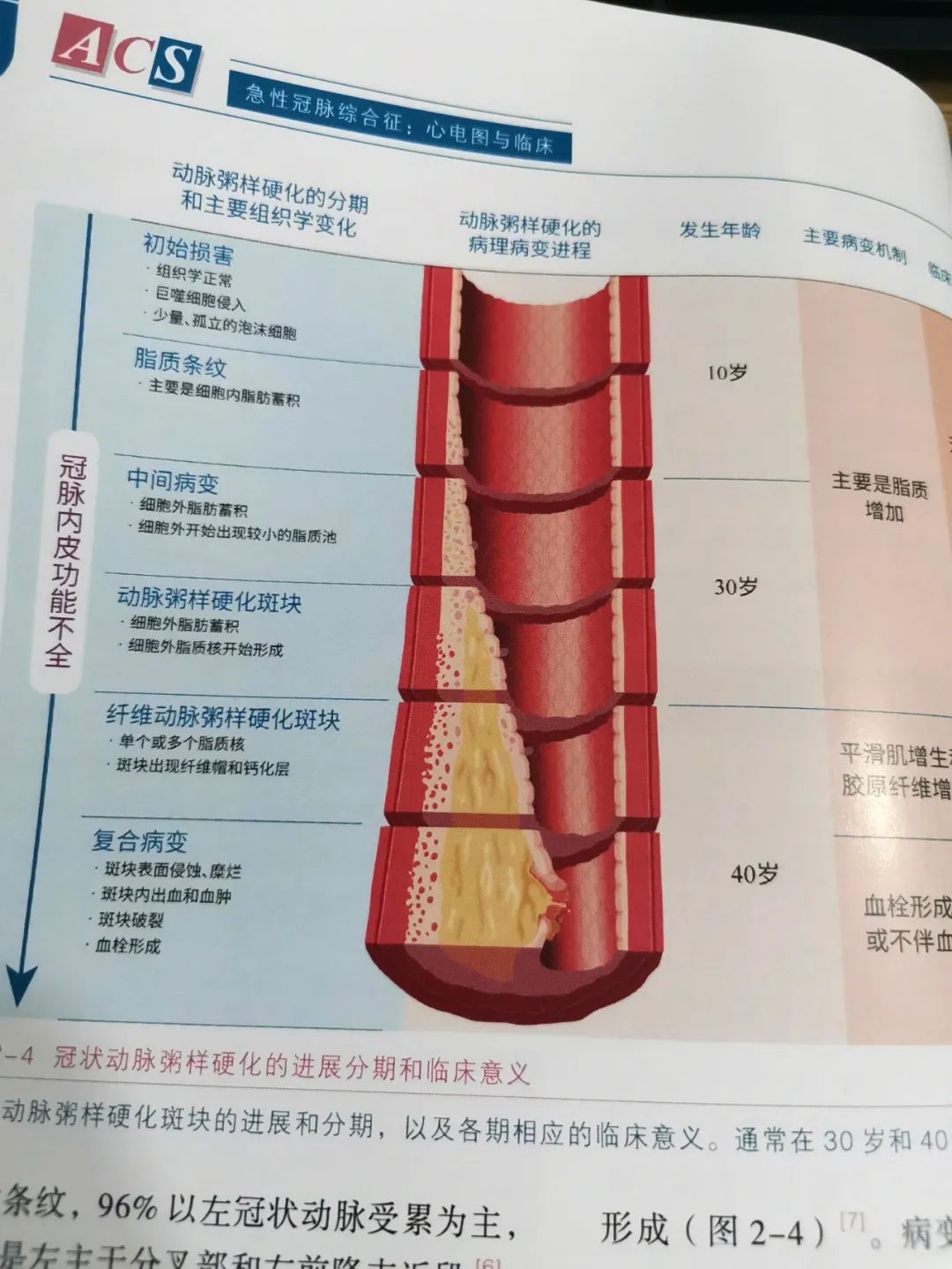 热销新书|