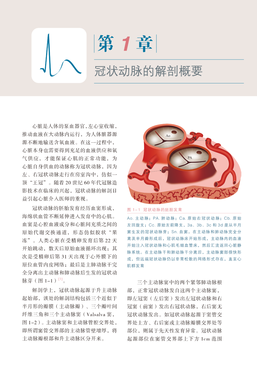 热销新书|