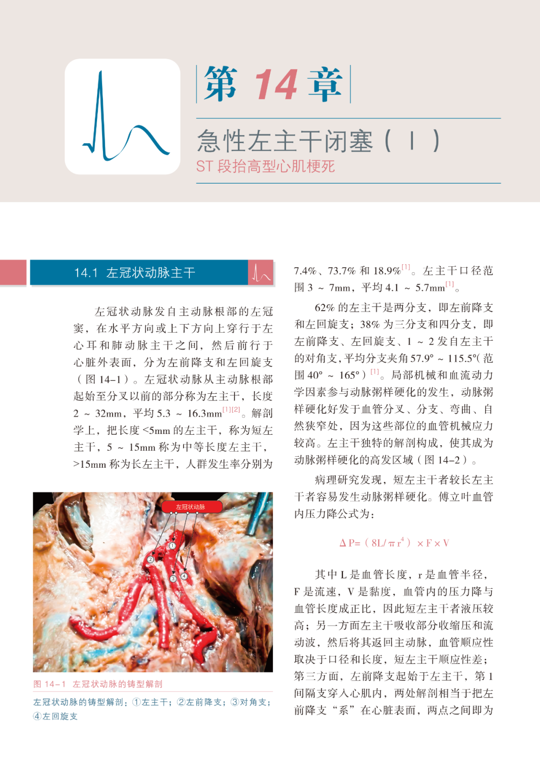 热销新书|