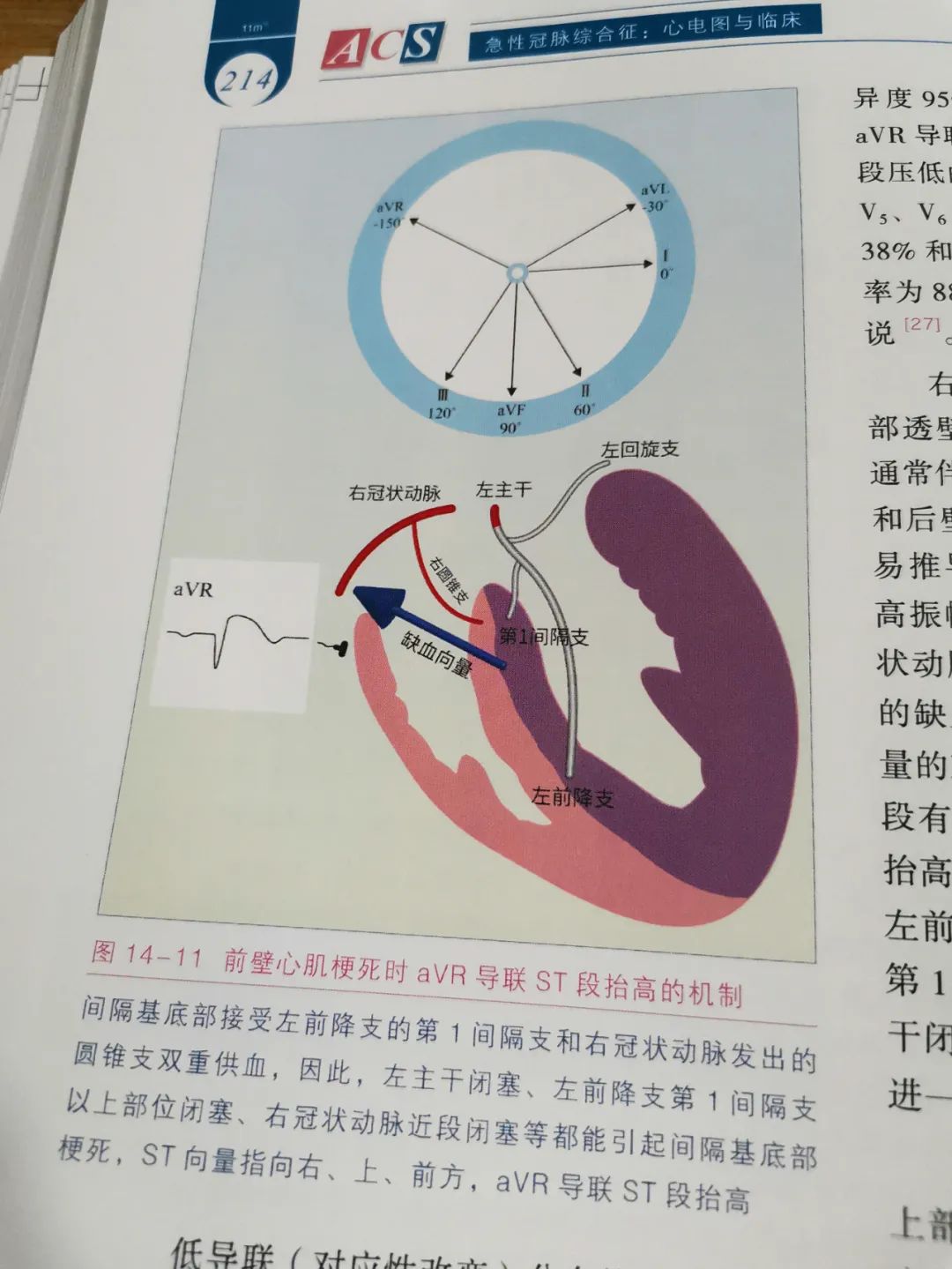 热销新书|