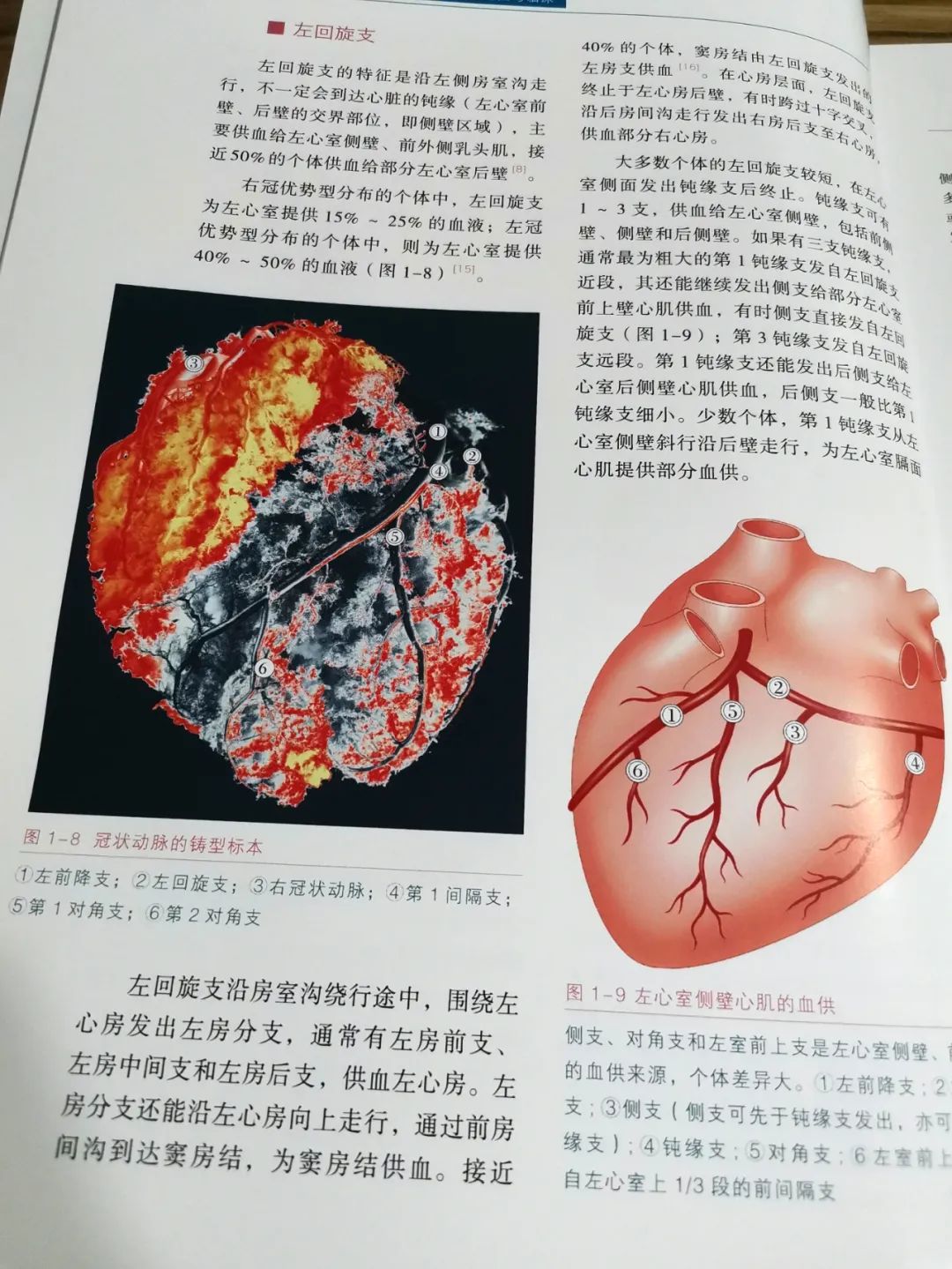 热销新书|
