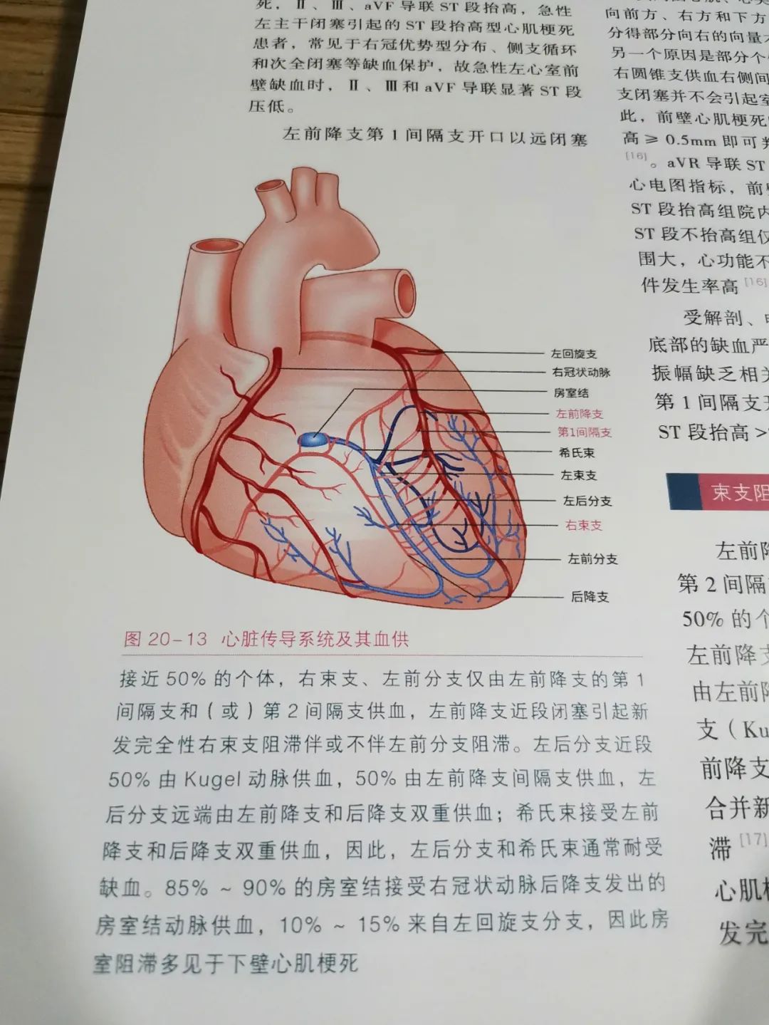 热销新书|