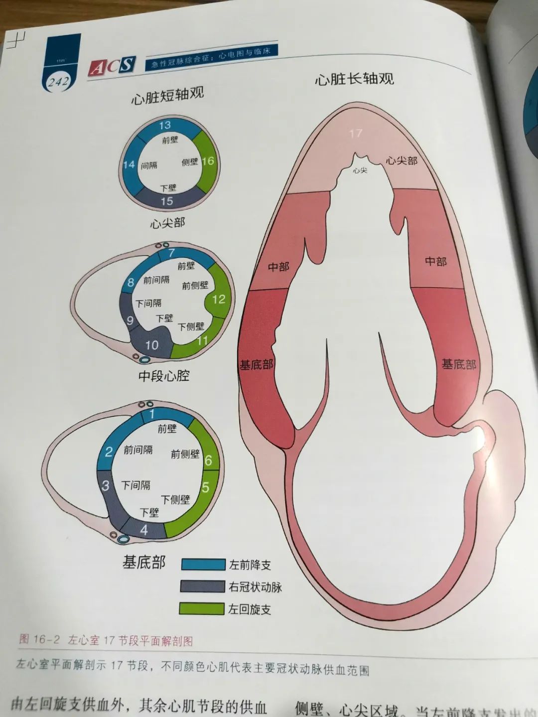热销新书|
