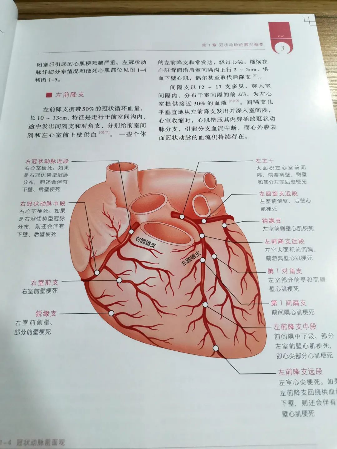 热销新书|