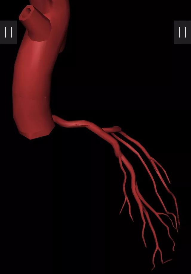 高清3D图片，轻松理解冠脉造影体位！