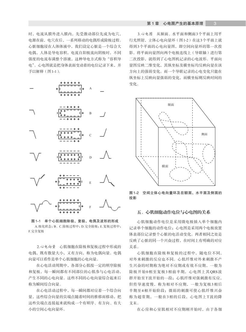 心血管病领域的知名专家总结一套心电图知识精华！