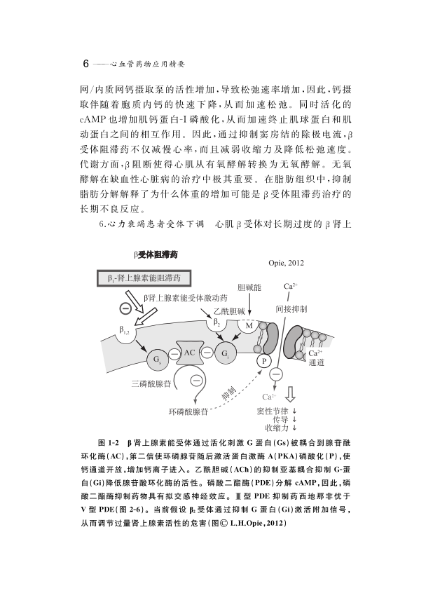 经典之作：心血管用药指南名著，王炳银、郭继鸿联合主译！