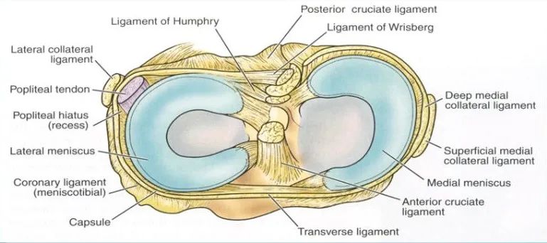 半月板损伤诊治关键技巧，够全够清晰！