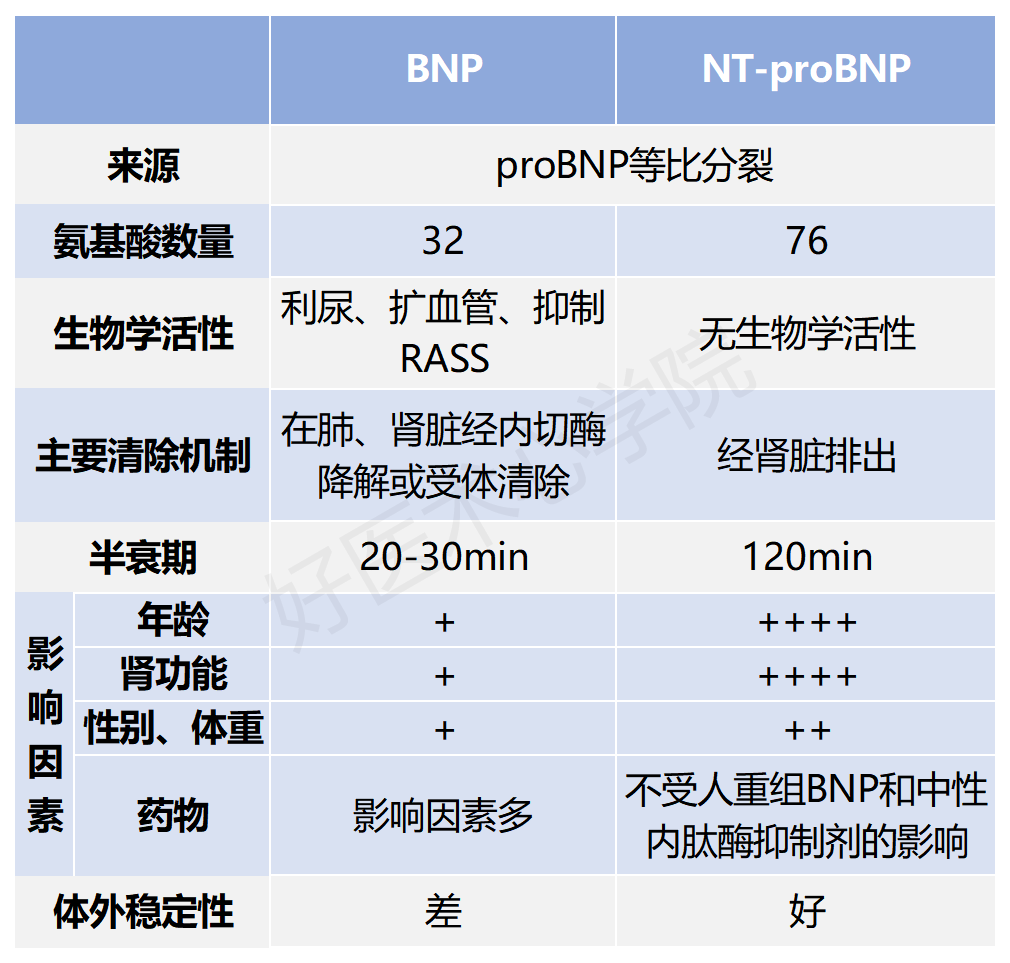 BNP与NT-proBNP有什么区别？