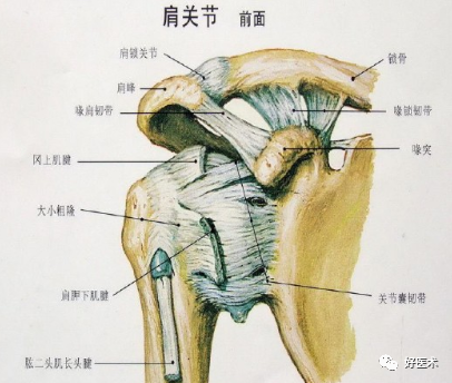 肩部疼痛就诊患者，65%都不是肩周炎惹的祸！