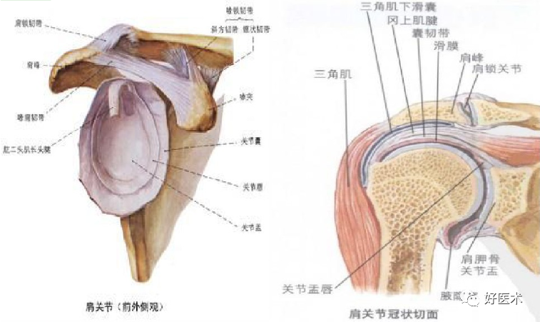 肩部疼痛就诊患者，65%都不是肩周炎惹的祸！