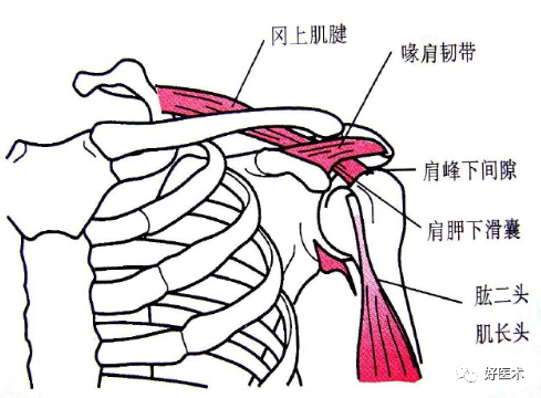肩部疼痛就诊患者，65%都不是肩周炎惹的祸！