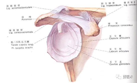 关于肩关节周围炎，这9点必须交代清楚了！