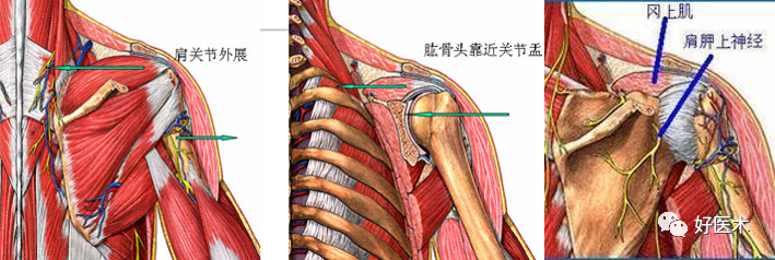 关于肩关节周围炎，这9点必须交代清楚了！