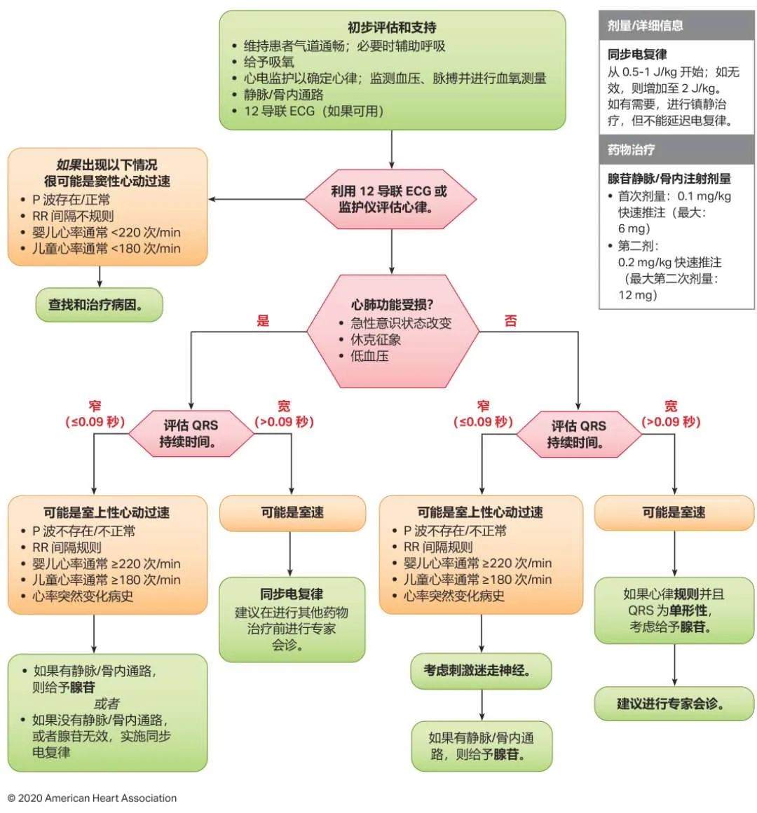 10图快速掌握最新版心肺复苏指南