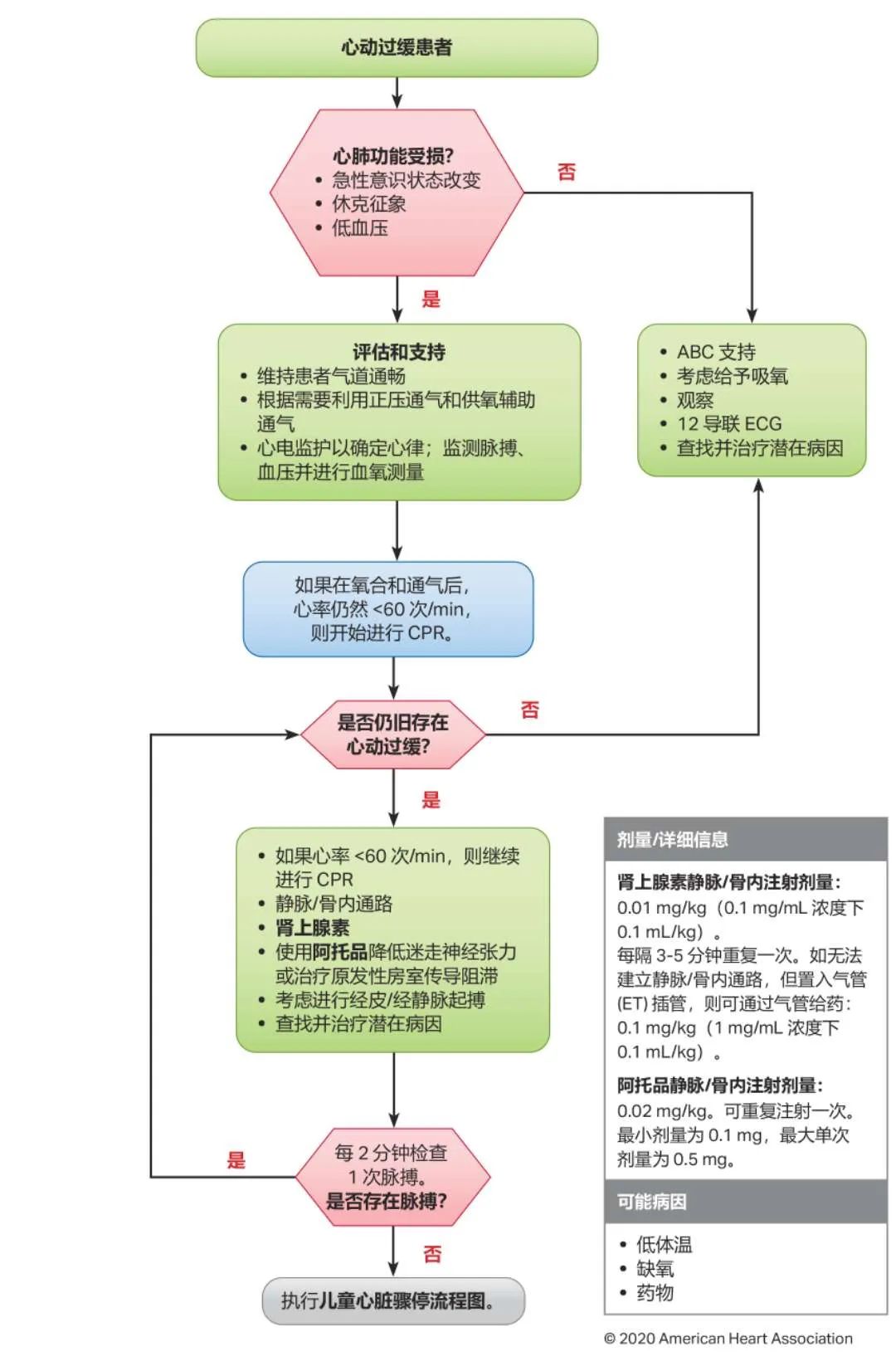 10图快速掌握最新版心肺复苏指南