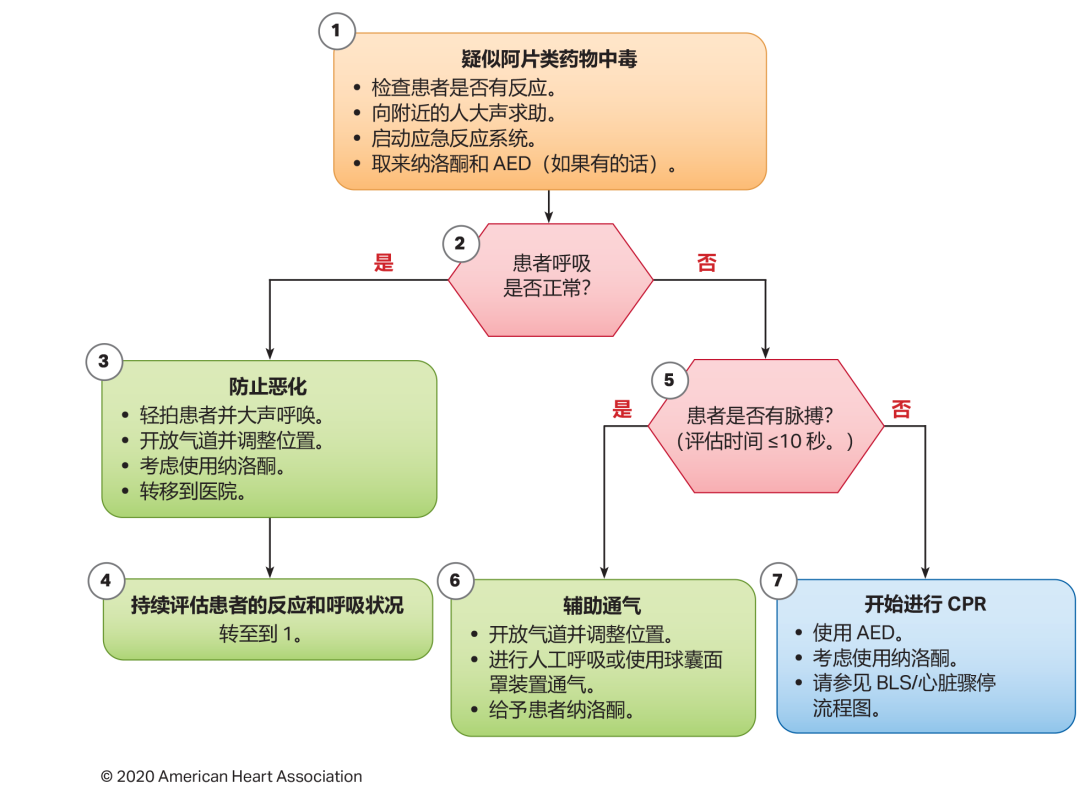 10图快速掌握最新版心肺复苏指南