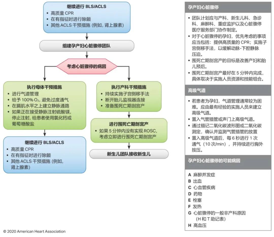 10图快速掌握最新版心肺复苏指南