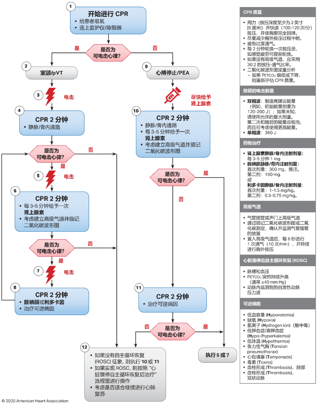 10图快速掌握最新版心肺复苏指南