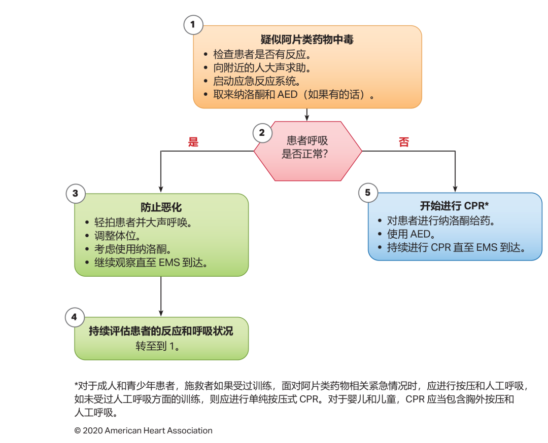 10图快速掌握最新版心肺复苏指南