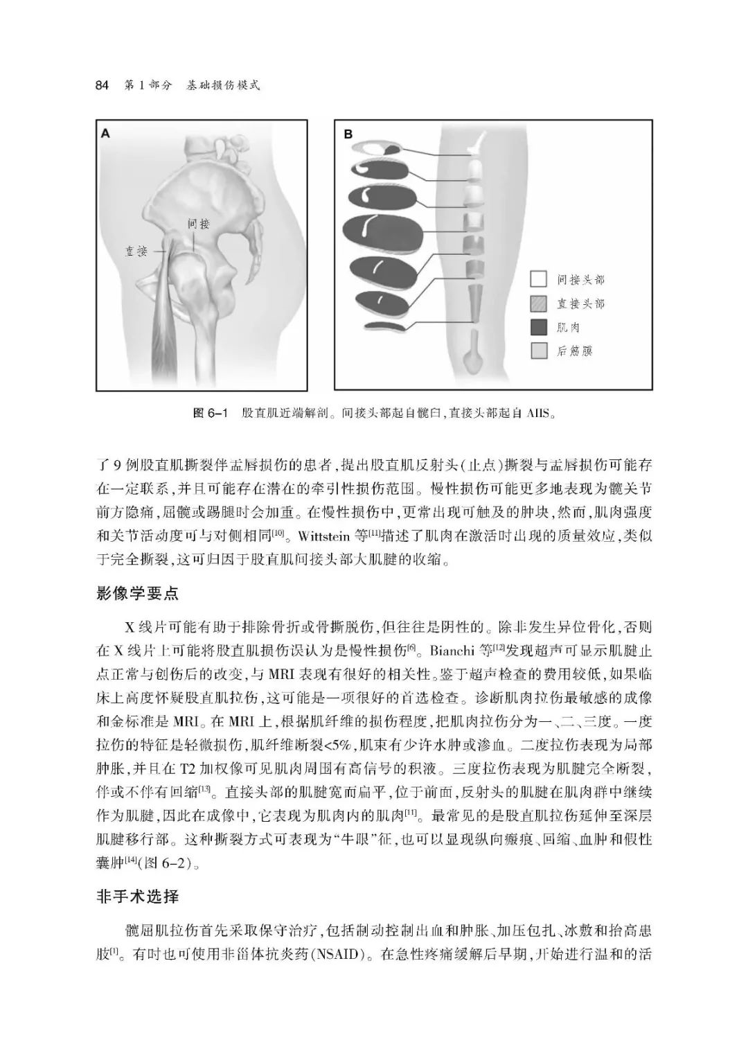 王坤正力荐，髋部运动损伤最实用的指南书籍！