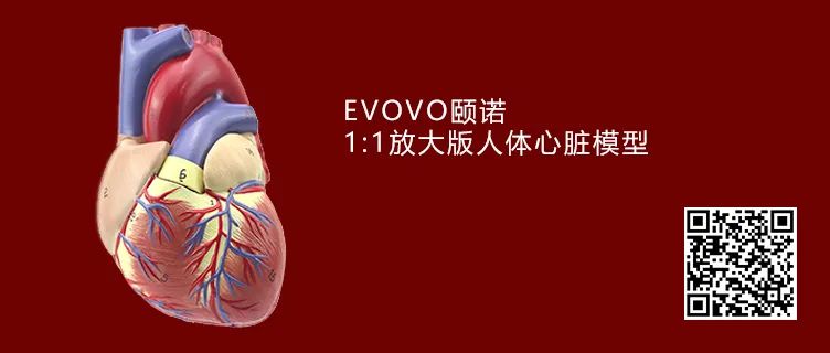 心血管医生11月都在买什么书？你绝对想不到！