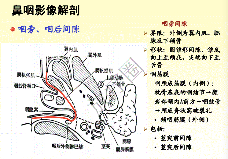 鼻咽癌调强放疗靶区勾画原则