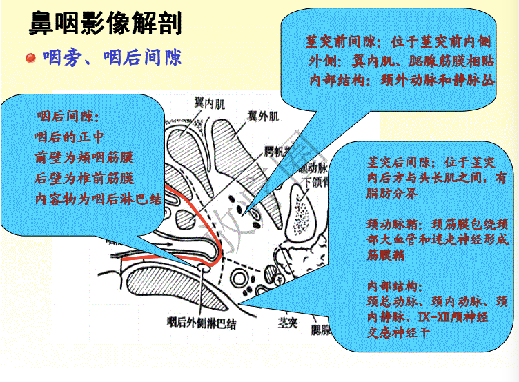 鼻咽癌调强放疗靶区勾画原则