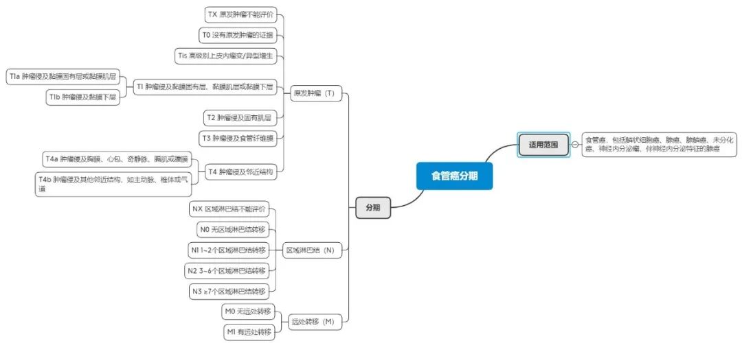 一看就懂的食管癌诊疗宝典，建议加收藏