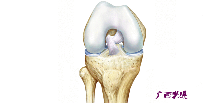 11张超清动图解析膝关节软骨损伤治疗关键，你Get了吗？
