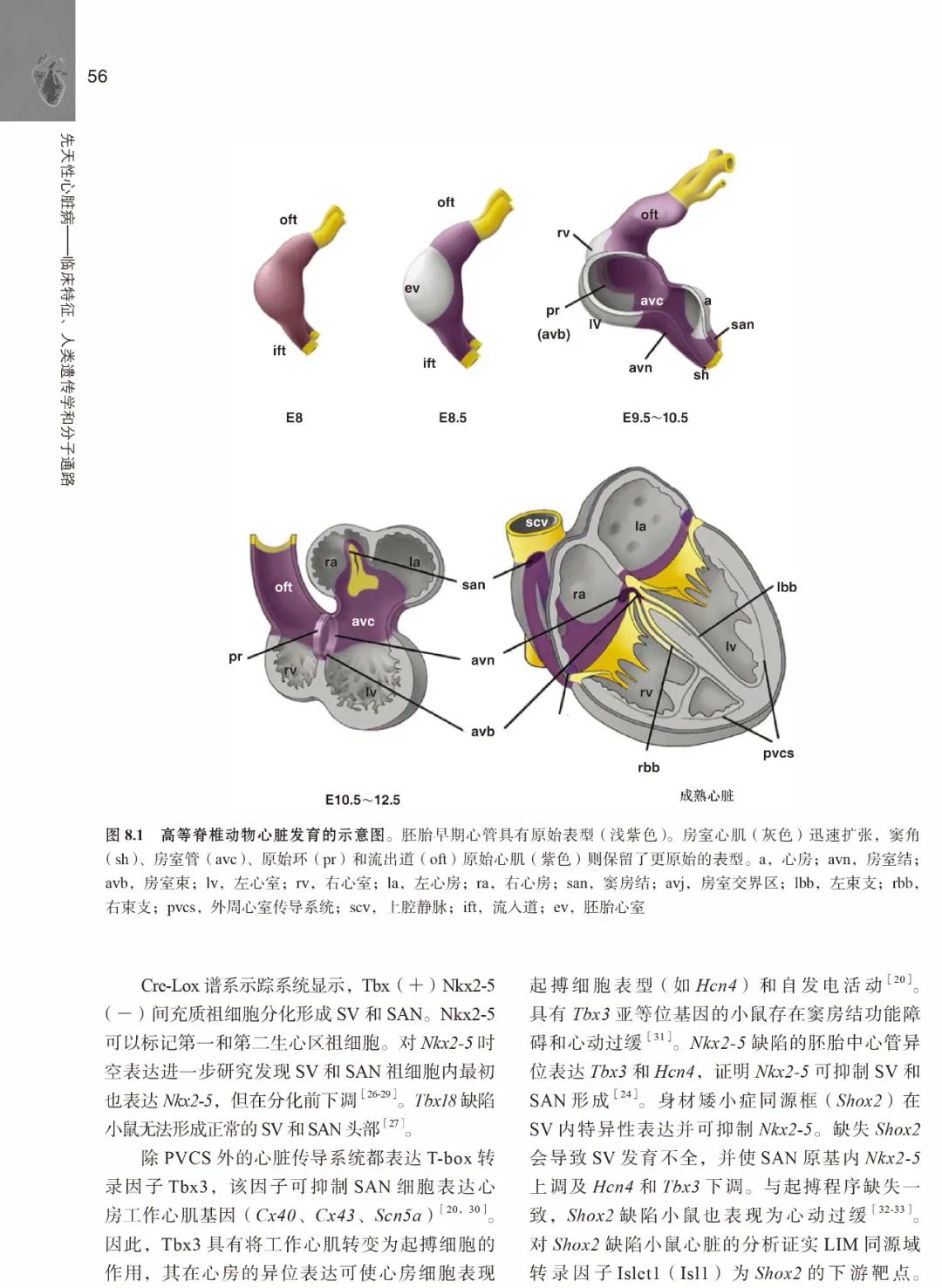 胡盛寿院士主审新书，三步学习先天性心脏病的诊断以及治疗