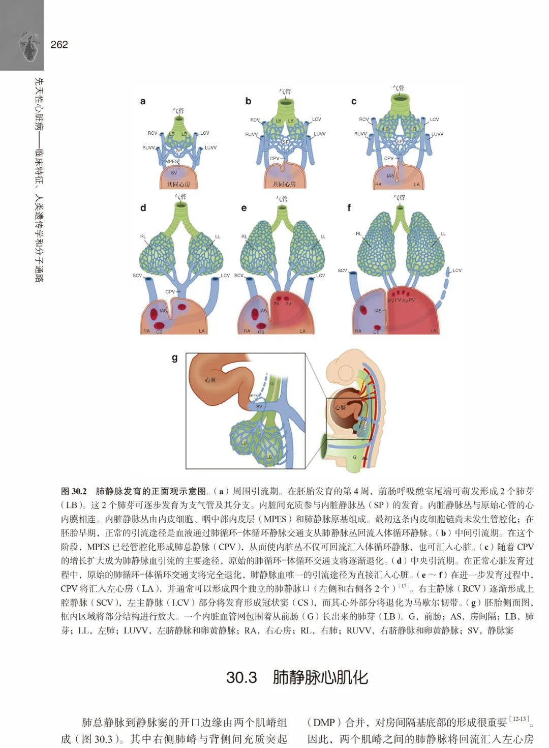 胡盛寿院士主审新书，三步学习先天性心脏病的诊断以及治疗