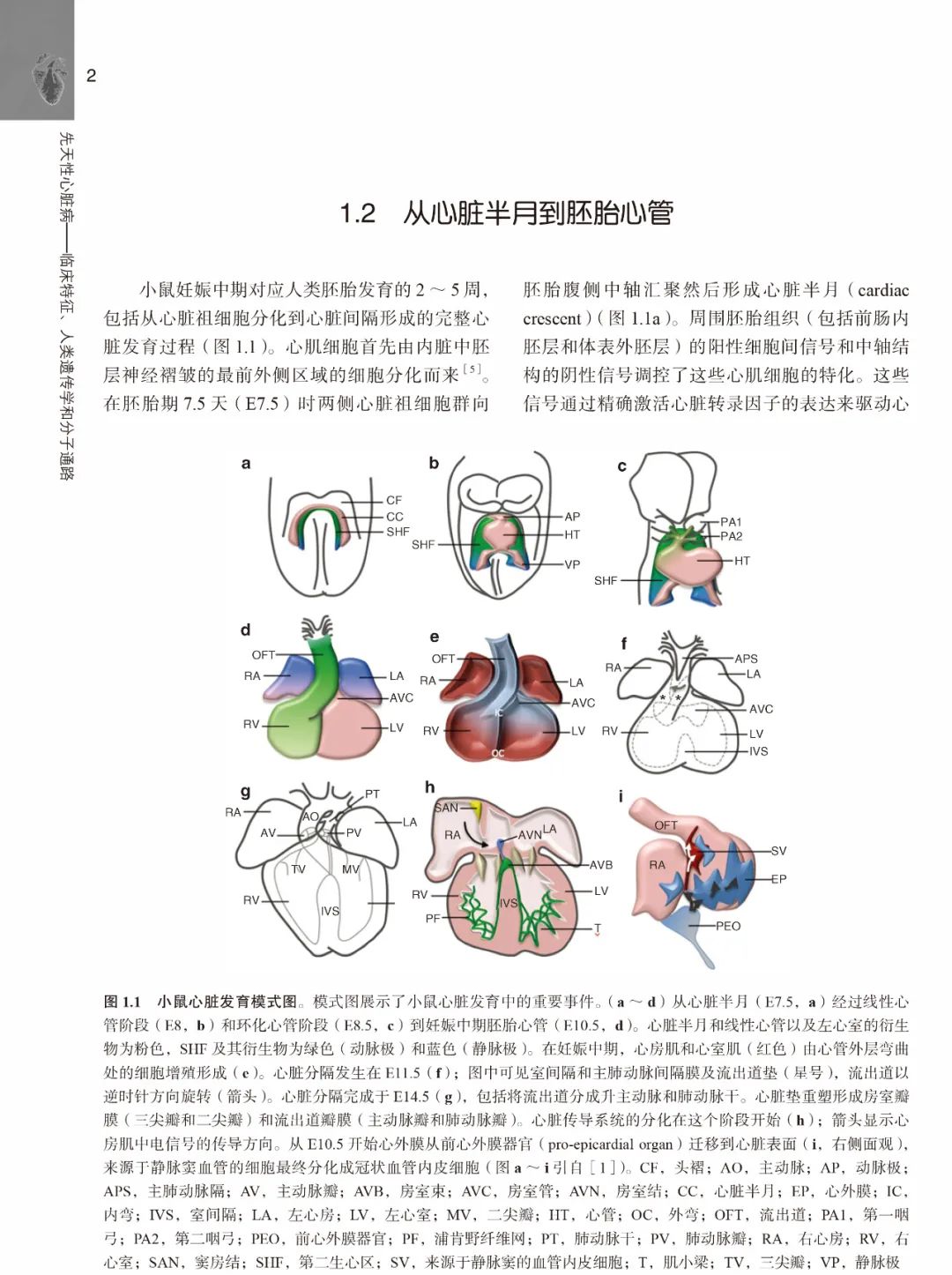 胡盛寿院士主审新书，三步学习先天性心脏病的诊断以及治疗