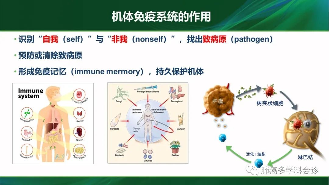 聚焦肺癌患者五年长生存：免疫治疗有优势？