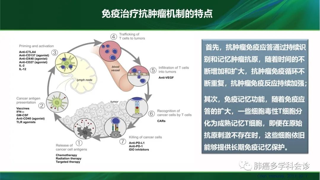 聚焦肺癌患者五年长生存：免疫治疗有优势？