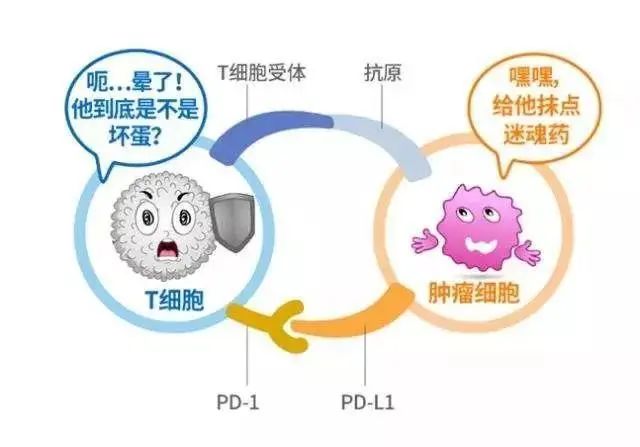 鼻咽癌的“双侠五将”，你都认识吗？