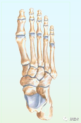骨科必看：极易漏诊的Lisfranc损伤诊疗关键，本文为你全面解析！
