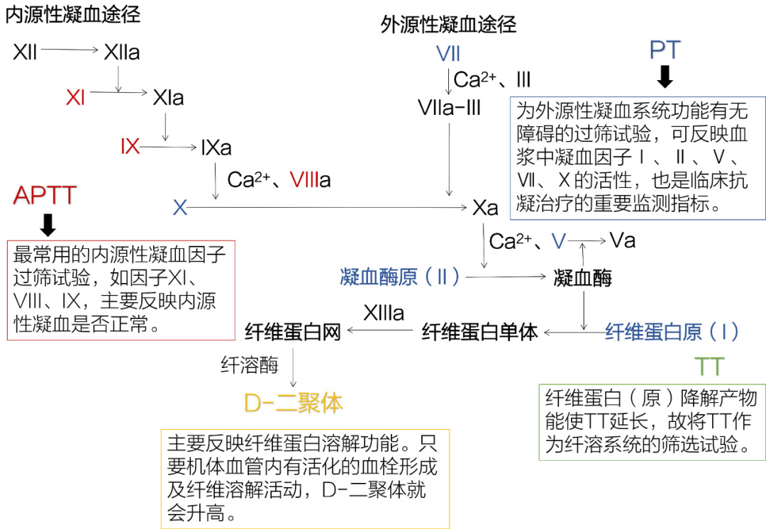 凝血化验单这样解读，没有不会的！